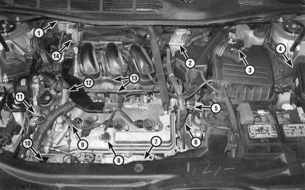 Toyota Camry Emissions and engine control systems | 